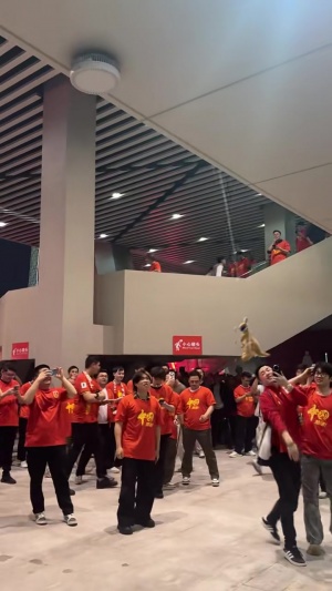 开云登录入口-国足半场0-2澳大利亚，球迷中场轮流击打袋鼠玩偶